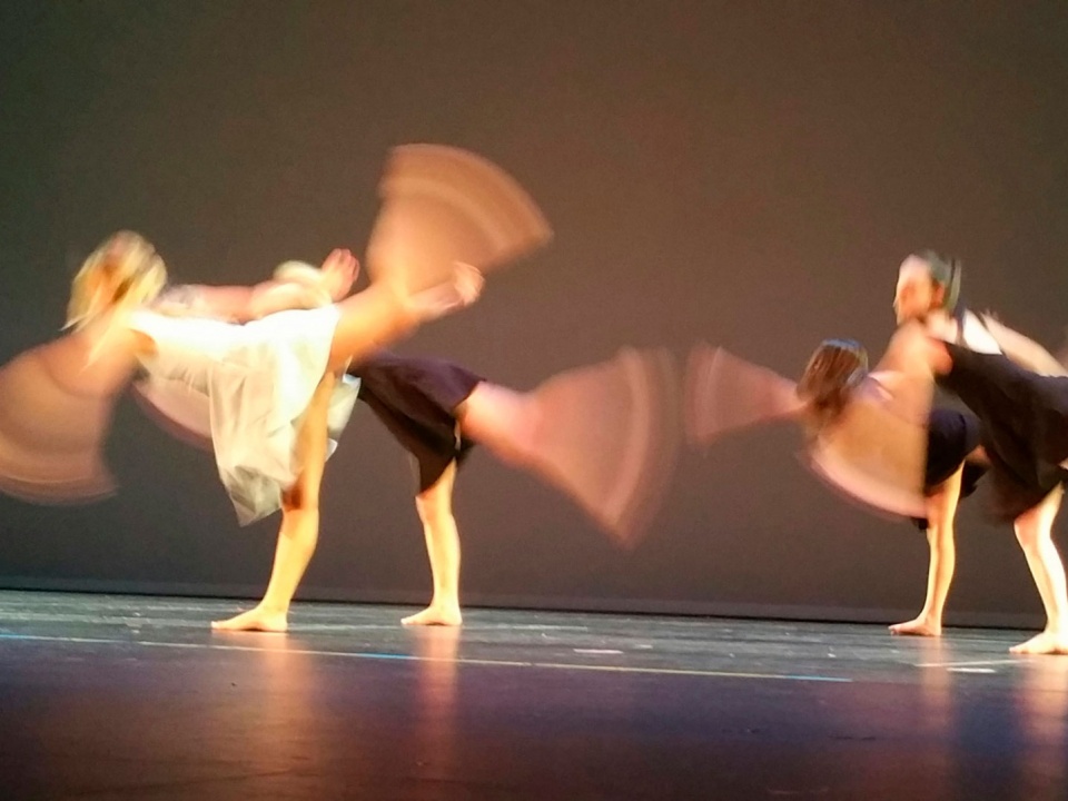Profesorado de Artes en Danza