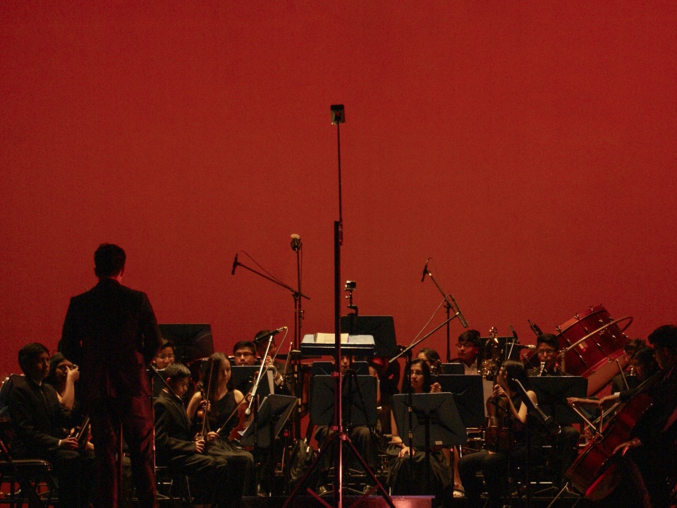 Profesorado de Artes Musicales con orientación en Dirección Orquestal